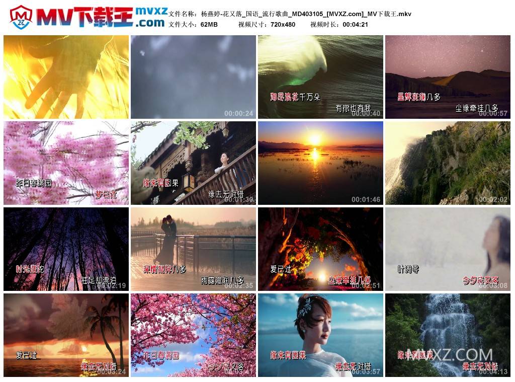 杨燕婷-花又落_国语_流行歌曲_MD403105